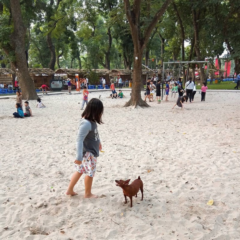 activities you can join in Thong Nhat Park