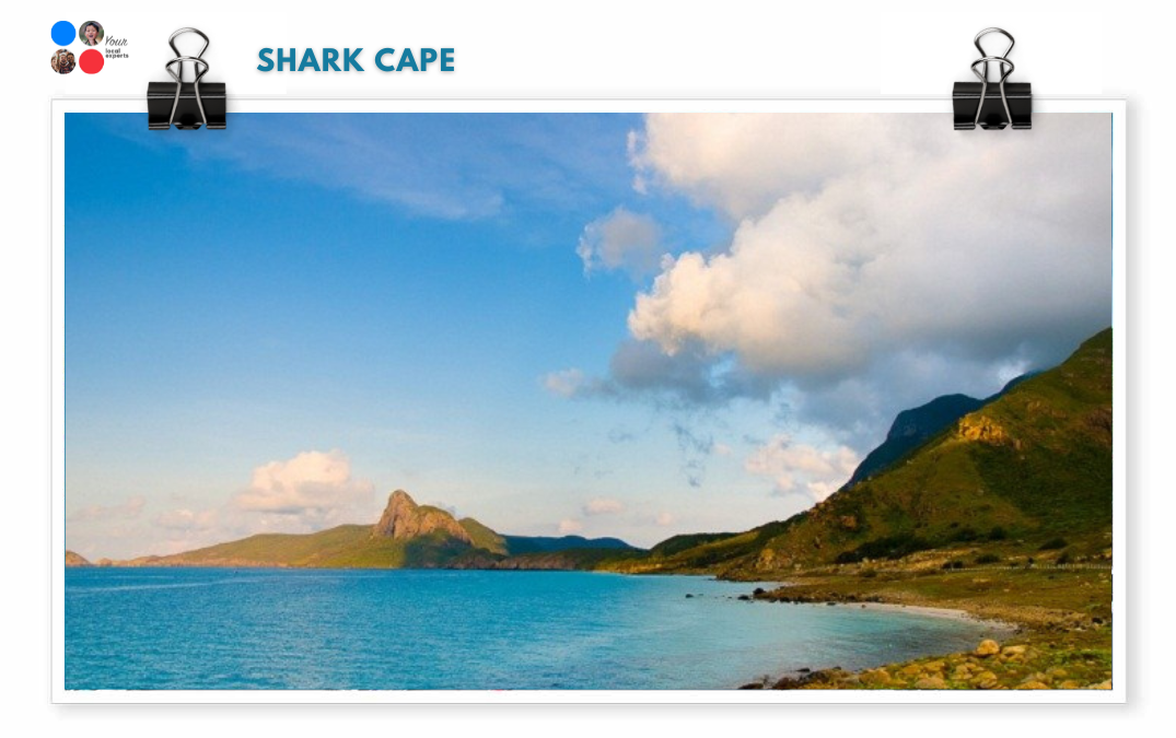 Shark Cape
